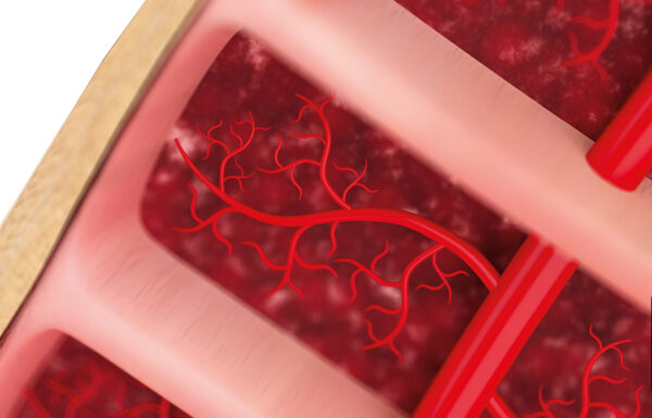 Prostatitis and Pelvic Pain