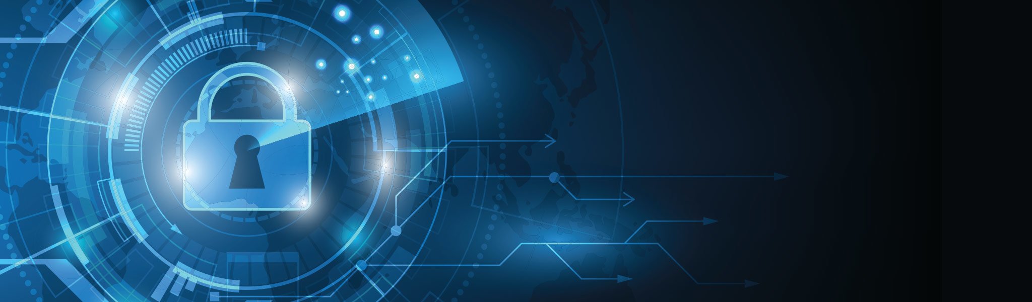 Terms and Conditions